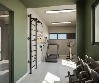 Academia